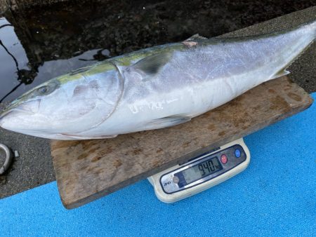 まるいち丸 ZERO-1 釣果