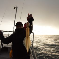 まるいち丸 ZERO-1 釣果