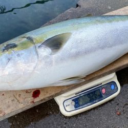 まるいち丸 ZERO-1 釣果