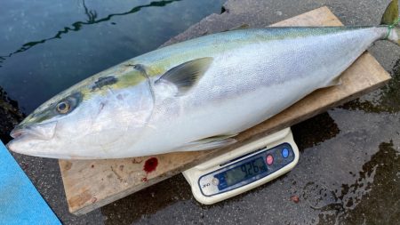 まるいち丸 ZERO-1 釣果