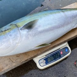 まるいち丸 ZERO-1 釣果