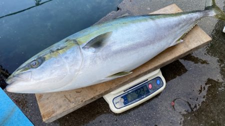 まるいち丸 ZERO-1 釣果