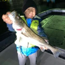 シーマジカル 釣果