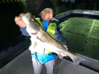 シーマジカル 釣果