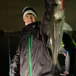 シーマジカル 釣果