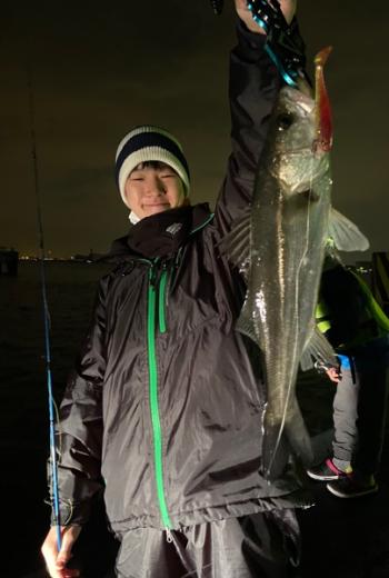 シーマジカル 釣果