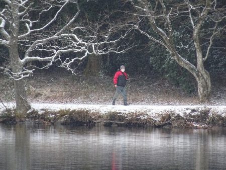 志高湖フィッシング 釣果