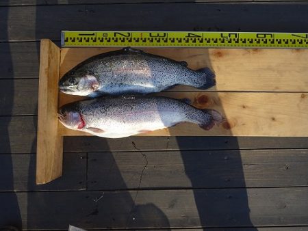 志高湖フィッシング 釣果