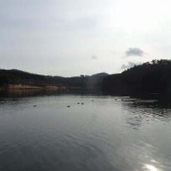 志高湖フィッシング 釣果