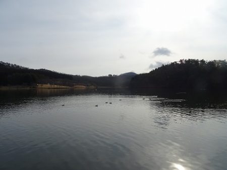 志高湖フィッシング 釣果