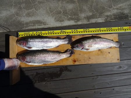 志高湖フィッシング 釣果