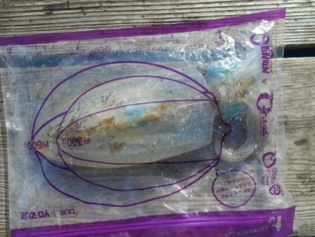 こかわ渡船　雅丸 釣果