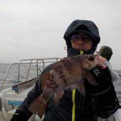 ＨＡＲＵＫＡ丸　はるかまる 釣果