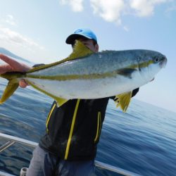 ジギング船 BLUEWATER 釣果