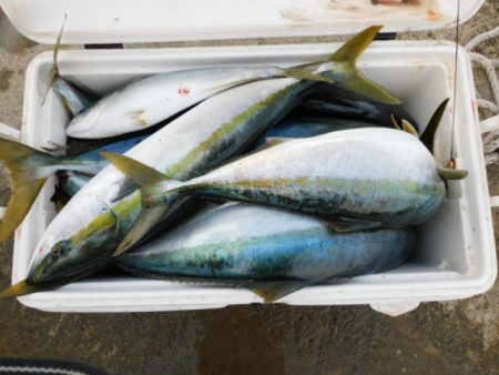 ジギング船 BLUEWATER 釣果