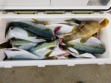 ジギング船 BLUEWATER 釣果