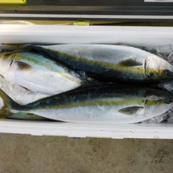 ジギング船 BLUEWATER 釣果