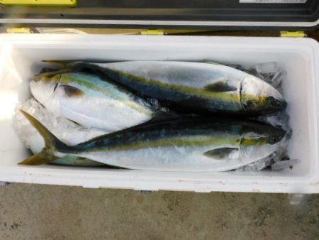 ジギング船 BLUEWATER 釣果