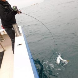 ジギング船 BLUEWATER 釣果