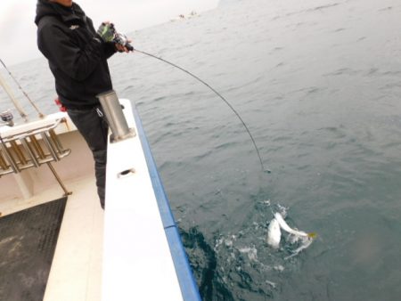 ジギング船 BLUEWATER 釣果