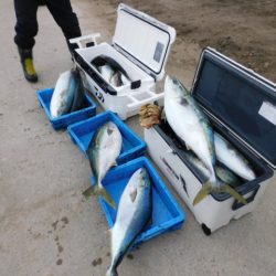 ジギング船 BLUEWATER 釣果