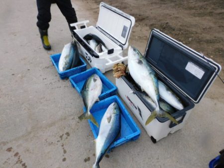 ジギング船 BLUEWATER 釣果