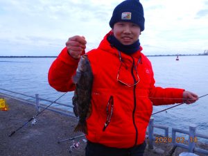 鹿島港魚釣園 釣果