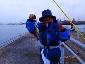 鹿島港魚釣園 釣果