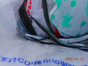 鹿島港魚釣園 釣果