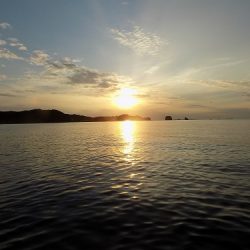 フィッシングボート空風(そらかぜ) 釣果