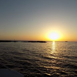 フィッシングボート空風（そらかぜ） 釣果