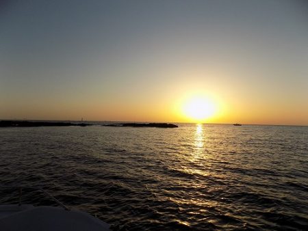 フィッシングボート空風（そらかぜ） 釣果