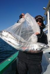 KONAYAーMARU(こなや丸) 釣果