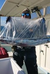 KONAYAーMARU(こなや丸) 釣果