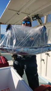 KONAYAーMARU(こなや丸) 釣果