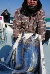 KONAYAーMARU(こなや丸) 釣果