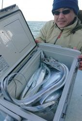 KONAYAーMARU(こなや丸) 釣果