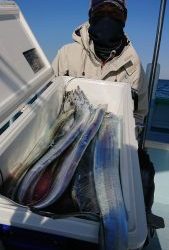 KONAYAーMARU(こなや丸) 釣果