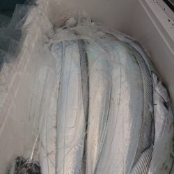 ＫＯＮＡＹＡｰＭＡＲＵ（こなや丸） 釣果