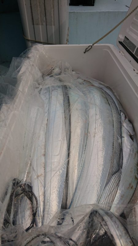 ＫＯＮＡＹＡｰＭＡＲＵ（こなや丸） 釣果