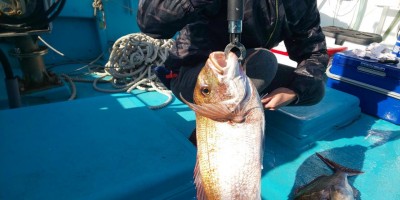 フィッシング太陽 釣果