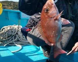 フィッシング太陽 釣果