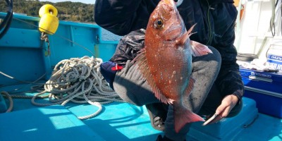 フィッシング太陽 釣果