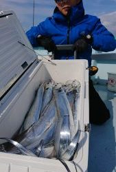 ＫＯＮＡＹＡｰＭＡＲＵ（こなや丸） 釣果