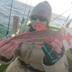 深川 吉野屋 釣果