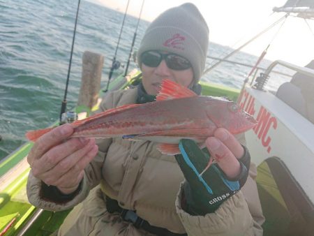 深川 吉野屋 釣果