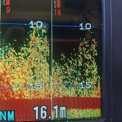 深川 吉野屋 釣果
