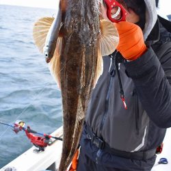 Fisherman Dreams DI 釣果