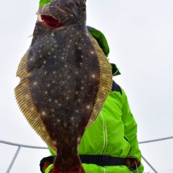 Fisherman Dreams DI 釣果