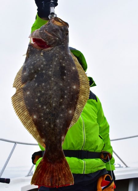 Fisherman Dreams DI 釣果